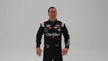 Kyle Busch What GIF by Richard Childress Racing