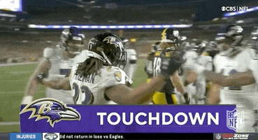 Baltimore Ravens Football GIF by NFL