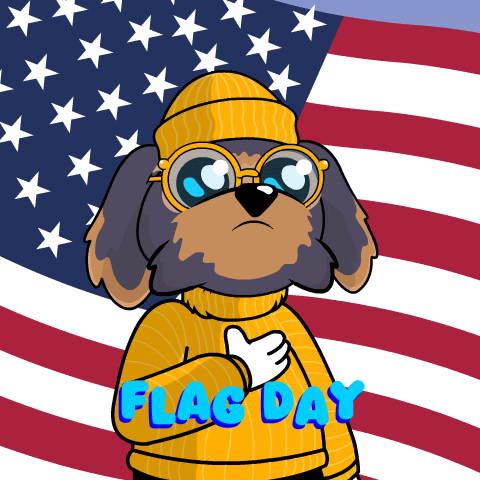 Independence Day Stan GIF by BoDoggos
