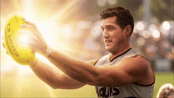 Hok GIF by Hawthorn Football Club