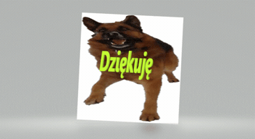 Dog GIF