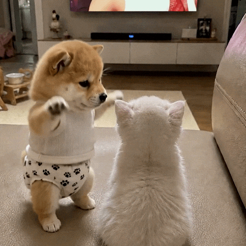 Dance GIF