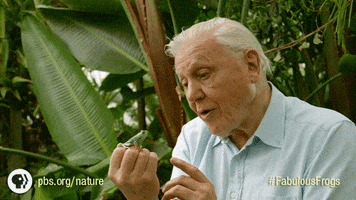 Pbs Nature Jump GIF by Nature on PBS