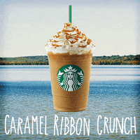 starbucks shaking GIF by Frappuccino