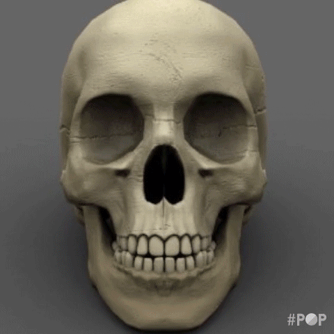 skull GIF by GoPop