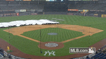 Rain Delay GIF by MLB