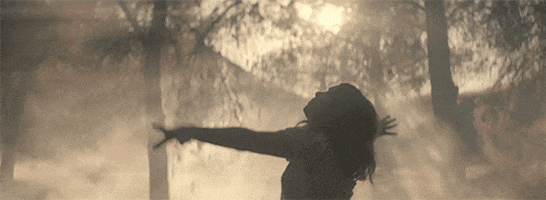 music video GIF by BROODS