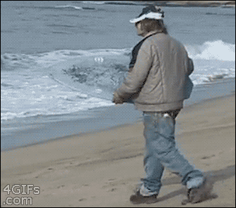 Drunk Beach GIF - Find & Share on GIPHY