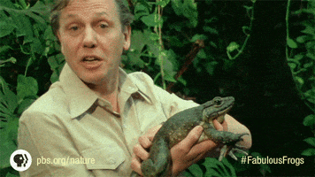 Pbs Nature David GIF by Nature on PBS