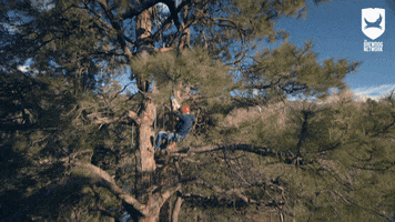 Afraid Of Heights Climbing GIF by BrewDog