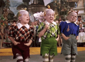 the wizard of oz dancing GIF