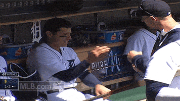 detroit tigers GIF by MLB