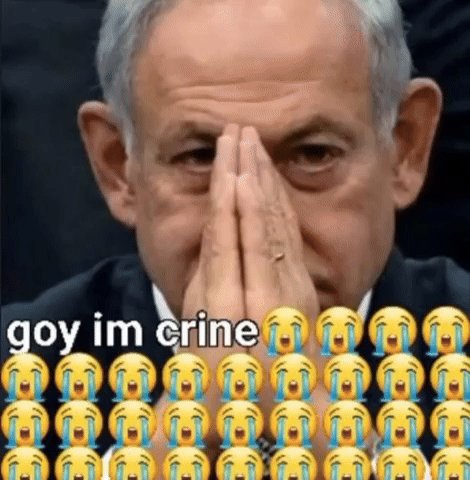 Memes GIF