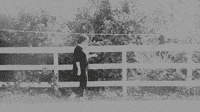 200w_d.gif