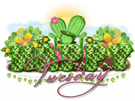 Happy Tuesday Cactus Love GIF