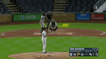 Niko Goodrum GIF