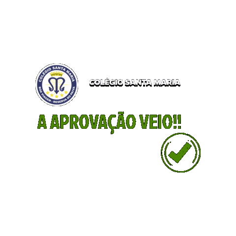 Vestibular Sticker by Colégio Santa Maria