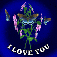 200.gif?cid=f0bdee70vkdp671nsc4268v7qprlodqnqzh0jfht6dlsd4yi&rid=200.gif&ct=g