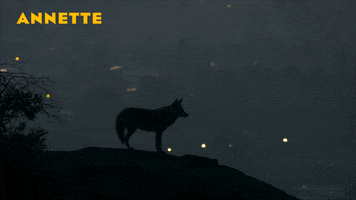 200.gif?cid=fc005b08031ad676a7f58c644cced4f4da63937599c639fc&rid=200.gif&ct=g