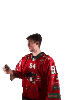 HC ORLI ZNOJMO Sticker