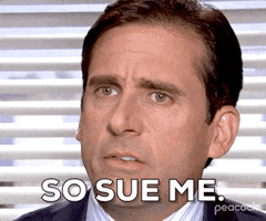 Sue Me Season 4 GIF by The Office