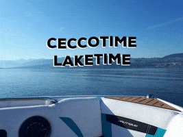 ceccotorenas boarding family GIF