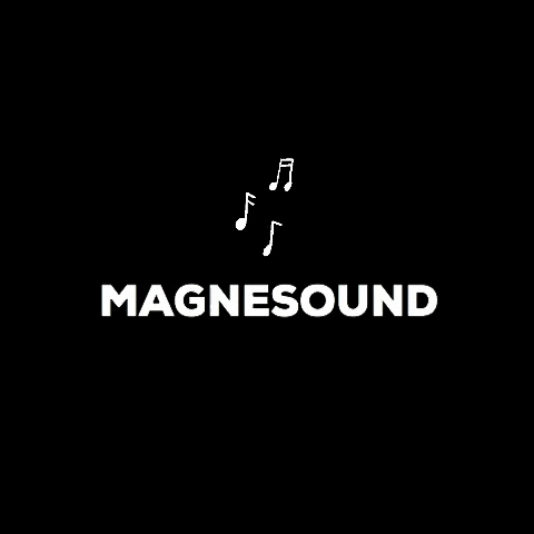 Magnesound GIF