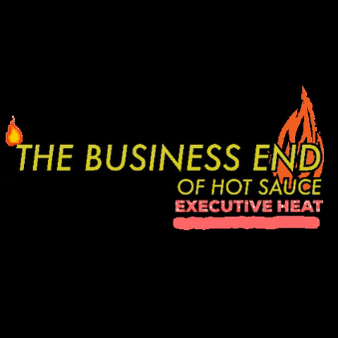 executiveheat hot fire business heat GIF