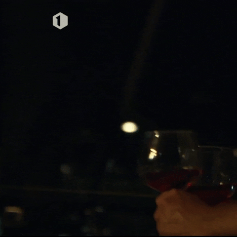Glass Of Wine Yes GIF by vrt