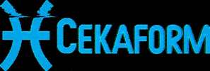 Cekaform Istanbul GIF