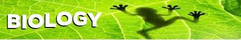 Biology GIF