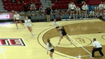 Volleyball Kill GIF by Lafayette Leopards