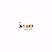 Nux Sad Cat Dance GIF - Nux Sad Cat Dance - Discover & Share GIFs