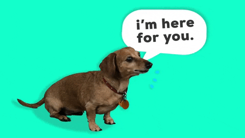 Wiener Dog Listening GIF by Originals - Find & Share on GIPHY