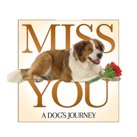 Miss You Love Sticker by A Dog's Journey
