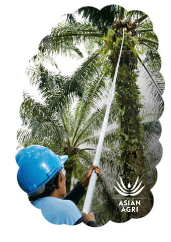 Asian Agri Sticker