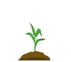 Ag Campo Sticker by Sementes Agroceres