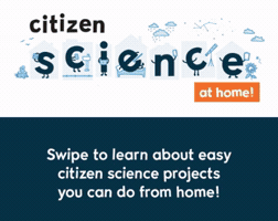 Citscimonth GIF