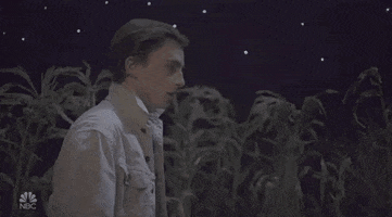 Timothee Chalamet Snl GIF by Saturday Night Live
