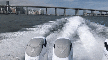 Social Navigator GIF