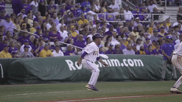 Baton Rouge Baseball GIF by LSU Tigers