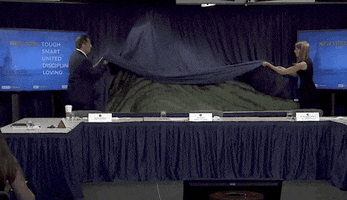 Andrew Cuomo Mountain GIF by GIPHY News