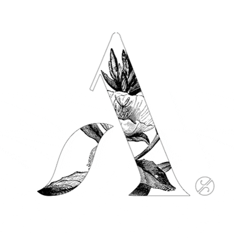 Apothekary Co GIF