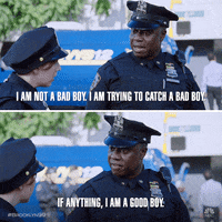 Captain Holt GIFs on GIPHY - Be Animated