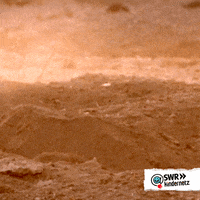 Look Out Ground Squirrel GIF by SWR Kindernetz