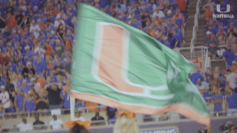Hurricanes-fan GIFs - Get the best GIF on GIPHY