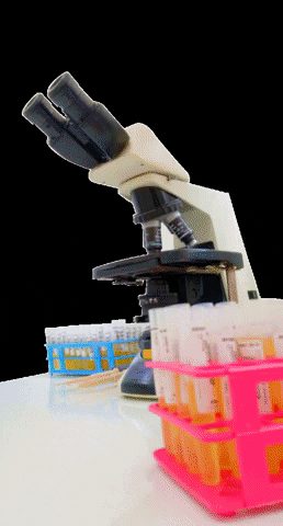 Fontana Laboratório Clínico GIF