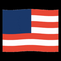 American Usa GIF by Living Facts