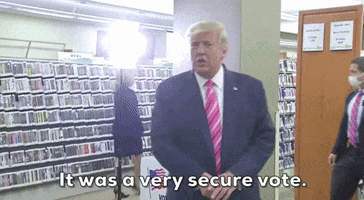 Donald Trump Vote GIF by Election 2020