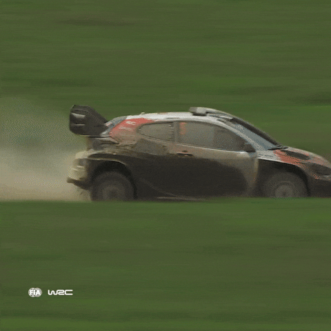 Safari Rally Omg GIF by FIA World Rally Championship